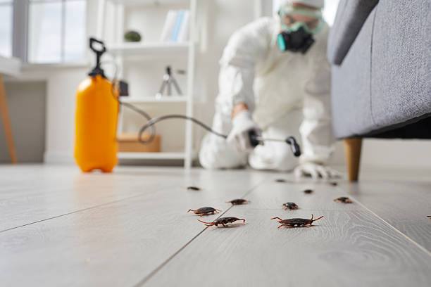 Commercial Kitchen Cockroach Control in Mount Pulaski